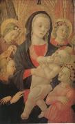 Master of The Castello Nativity The Virgin and Child Surrounded by Four Angels (mk05) oil on canvas